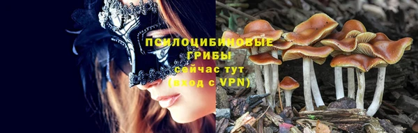 PSILOCYBIN Абдулино
