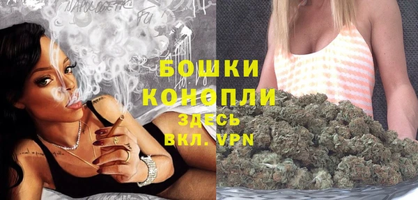 PSILOCYBIN Абдулино